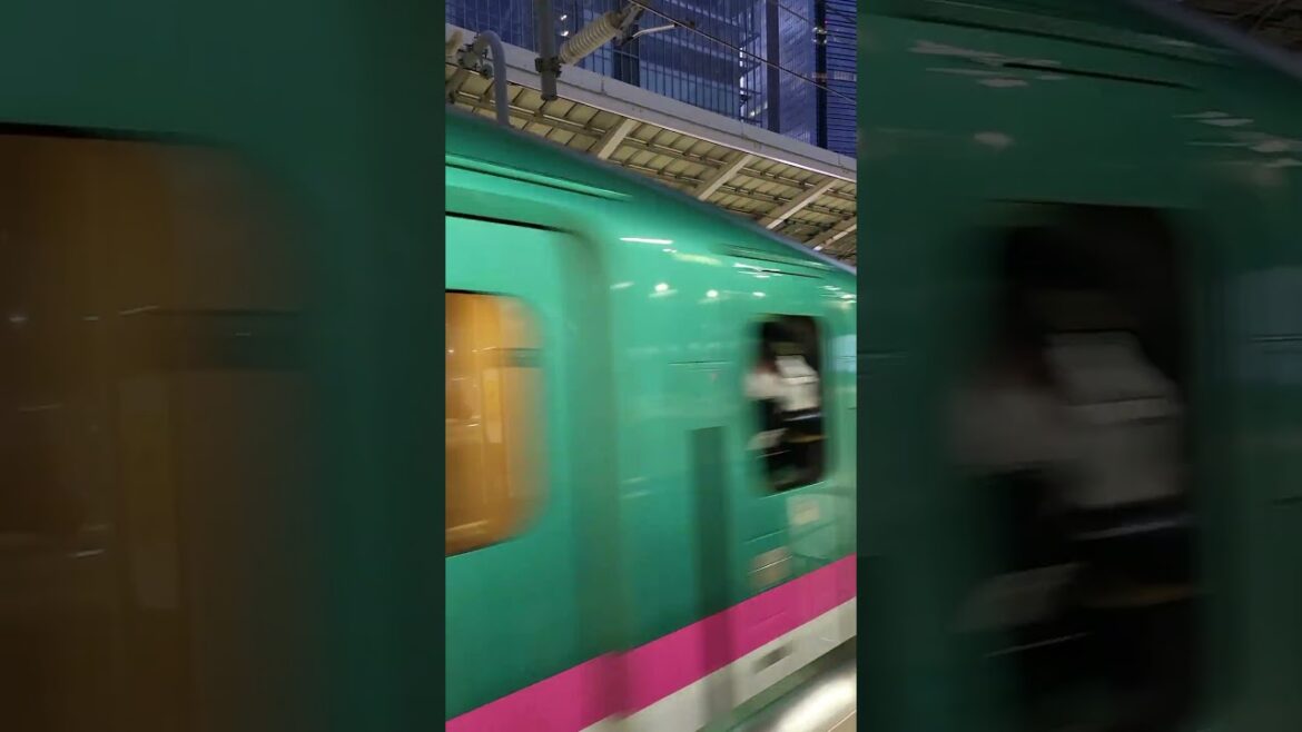 Bullet train in Japan #japantouristguide #japantravelguide #bullettrains #japanrailway #traveljapan