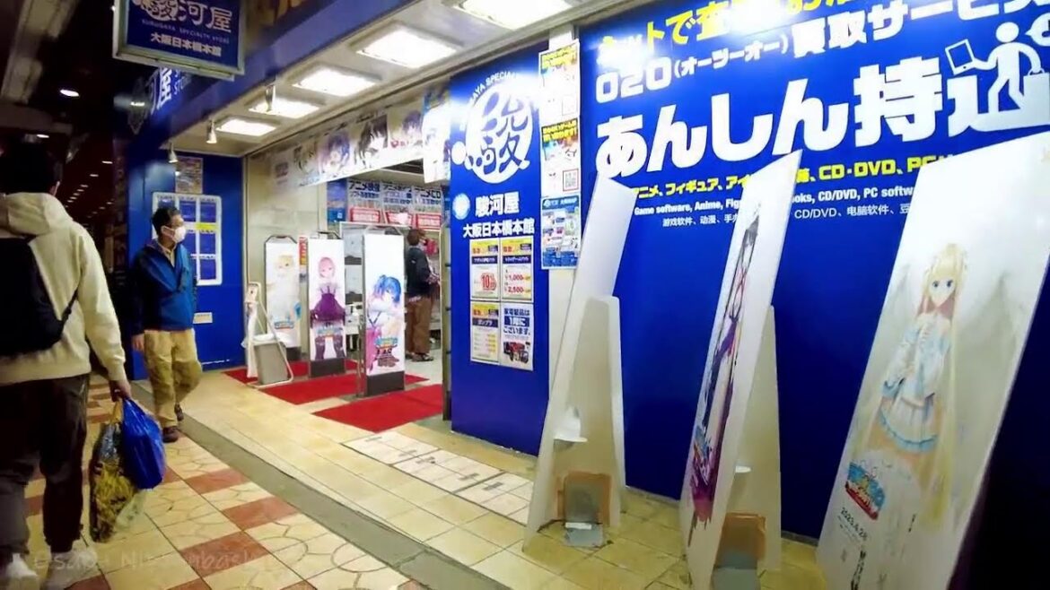 🔴Japan West Walk♪ 24/7🍣🐶Osaka, Kyoto, Hakata.etc💝 🔴Japan West Walk♪ 24/7🍣🐶Osaka, Kyoto, Hakata.etc💝