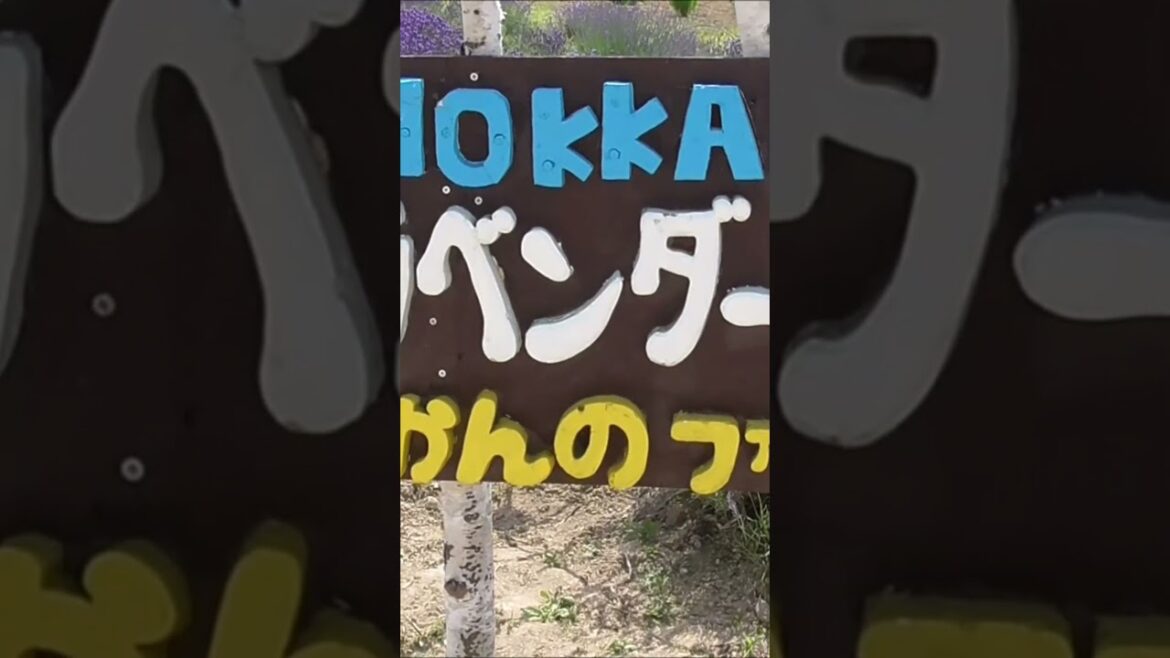 かんのファーム　上富良野　車中泊で、北海道一周の旅　＃北海道　＃富良野　＃かんのファーム　＃Japan ＃hokkaido ＃furano