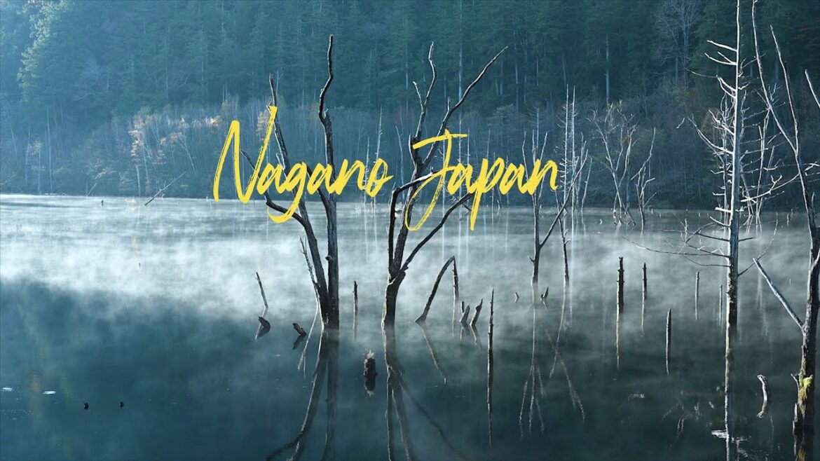 Nature Lake fog　Nagano Japan  長野 自然湖 湖霧  4K