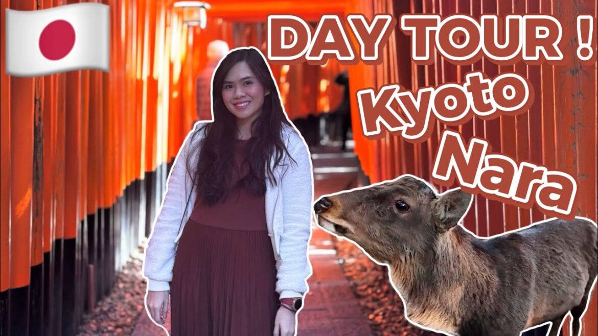 Day trip in Kyoto & Nara Japan | Feed the deers