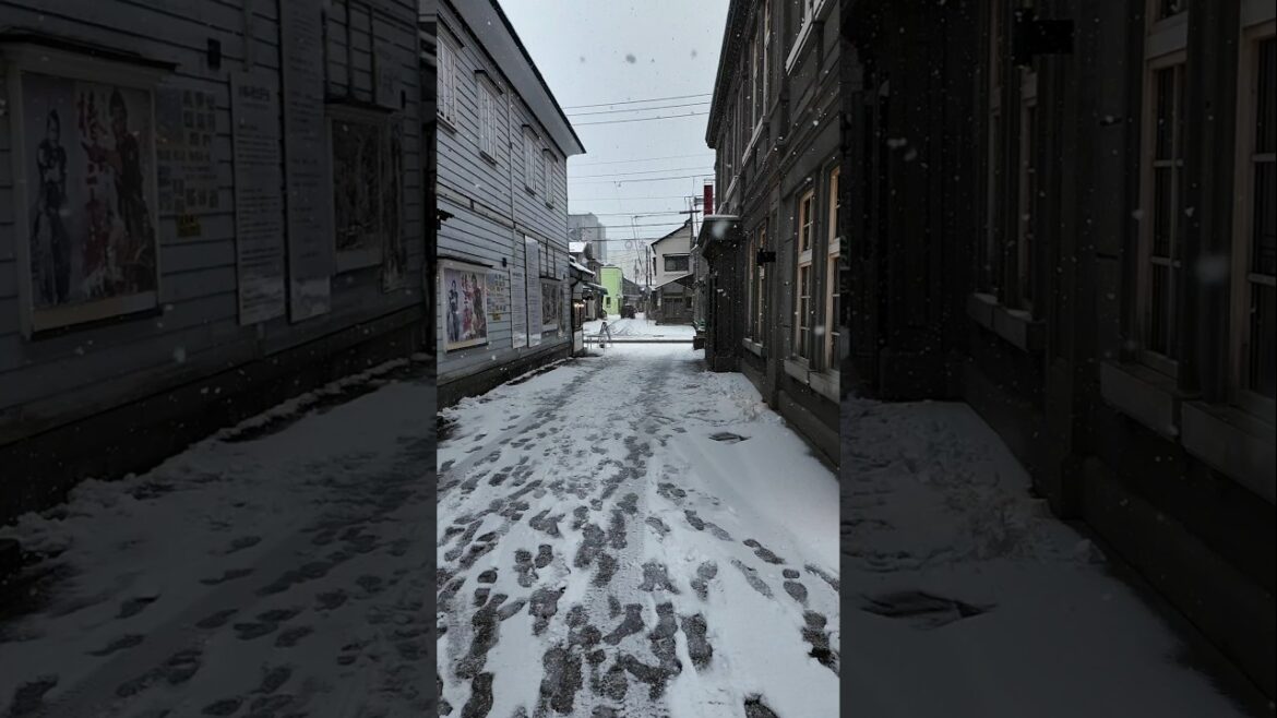 Walking around Otaru Japan#vlog #travel #otaru #hokkaido