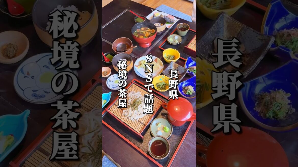 SNSで話題の秘境の茶屋 #長野グルメ #信州グルメ #長野県 #松本市 #美ヶ原高原 #長野観光 #長野旅行 #そば #信州