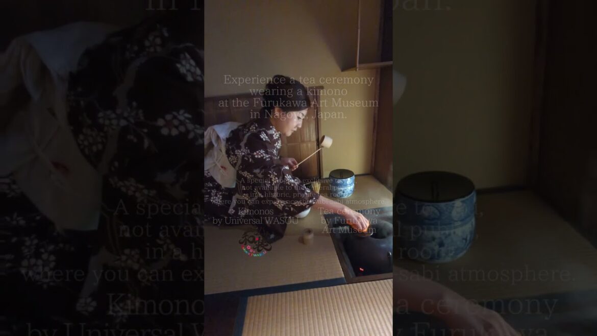 Experience a #teaceremony wearing a #kimono in #Nagoya, #Japan.