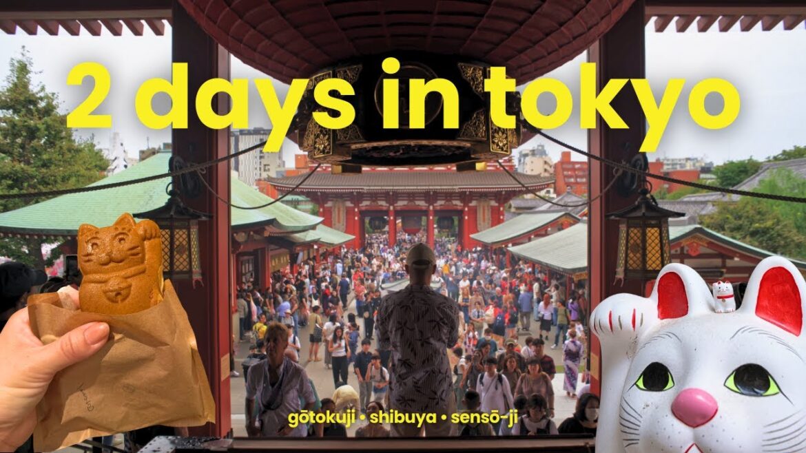 Exploring TOKYO | Gotokuji, Coffee Omakase, Sensjo-ji | Japan Honeymoon Travel Vlog