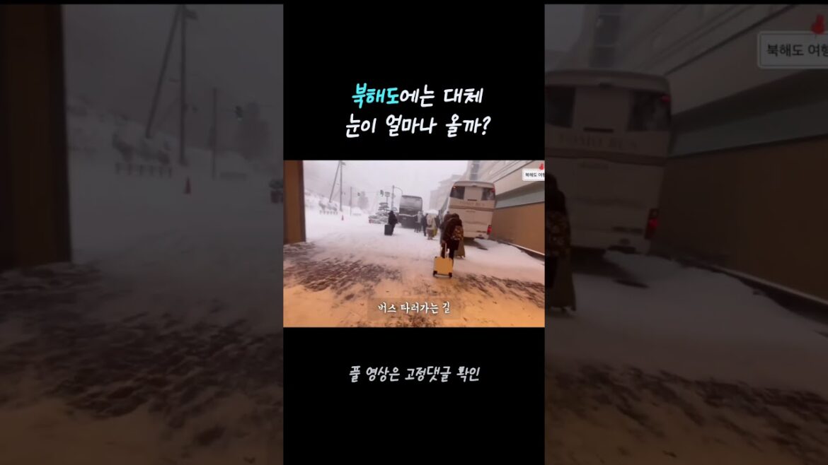 눈의 나라 북해도, 1월 날씨는? 아침 점심 날씨 변화! #북해도 #북해도날씨 #일본패키지여행 #북해도북해도여행