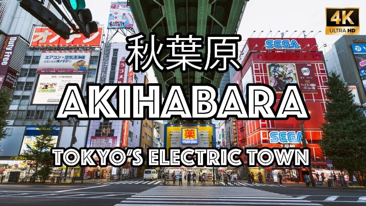 Akihabara (Electric Town) Tokyo : Walking Tour : Japan Fall 2024 Series [4K]