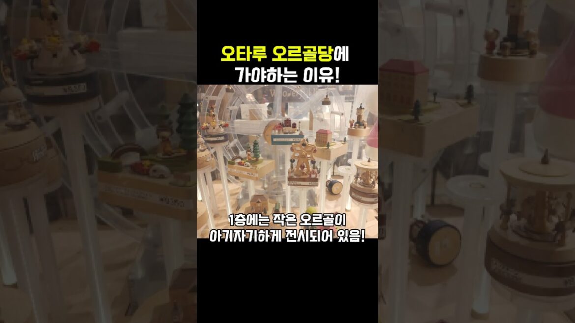 오타루에 여행가면 오르골당에 가야하는 이유! #오타루 #오타루여행 #travel #삿포로여행