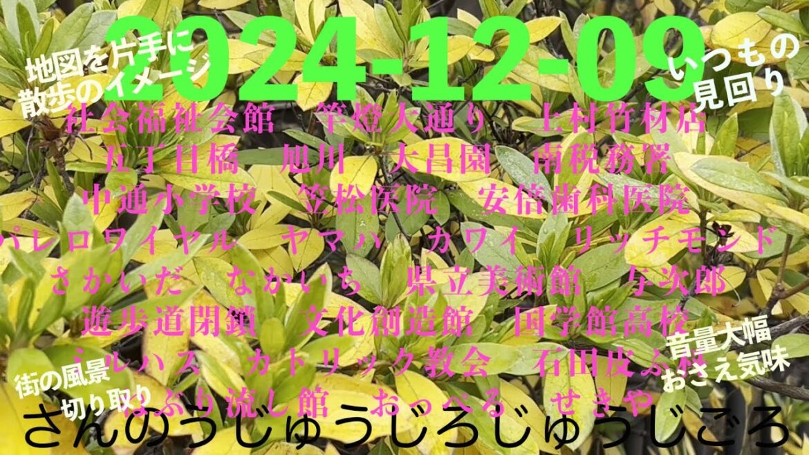 2024-12-09さんのうじゅうじろじゅうじごろ