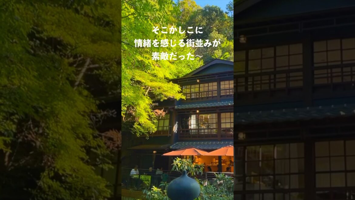 旅行気分でサクッと行けちゃうど定番観光地 #shorts #観光