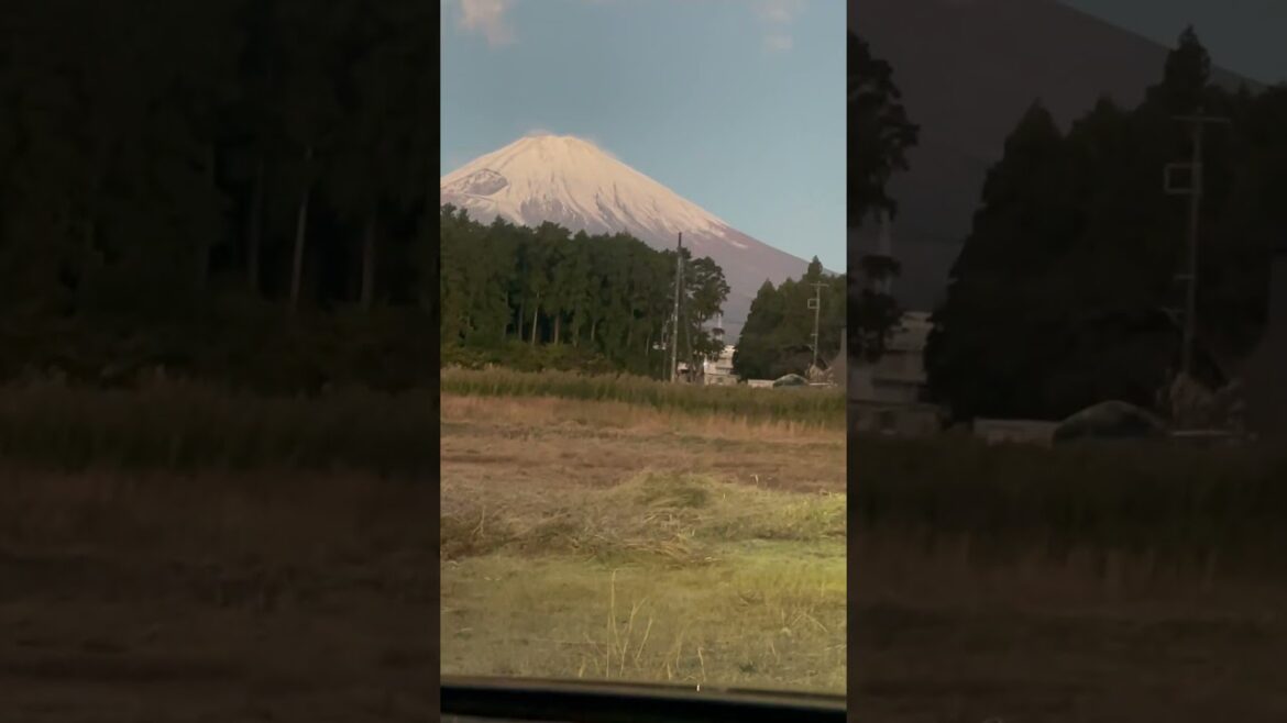 Mount Fuji View of Japan 🇧🇷in🇯🇵 2024📸🗻#shortsyoutube