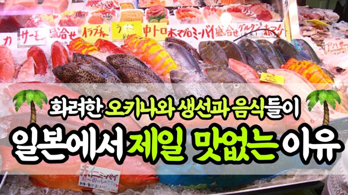 오키나와 생선과 음식이 ‘맛대가리없는’ 이유(Ep01_토마리 이유마치) 오키나와 생선과 음식이 ‘맛대가리없는’ 이유(Ep01_토마리 이유마치)