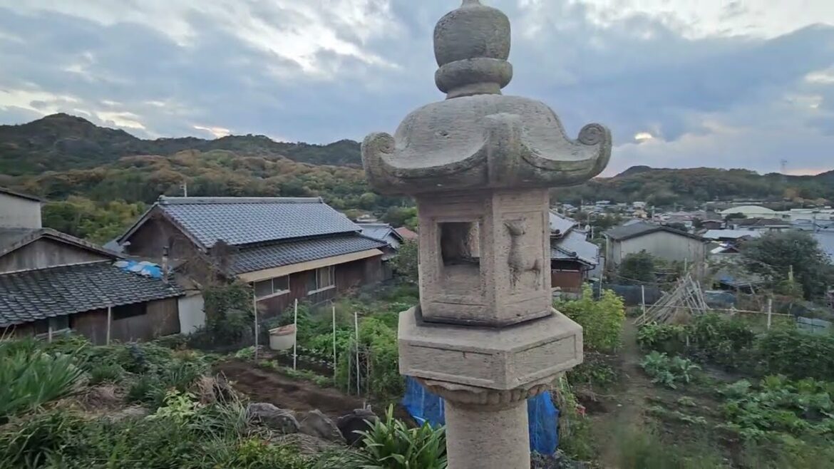 Amazing Airbnb in Japan Teshima Island