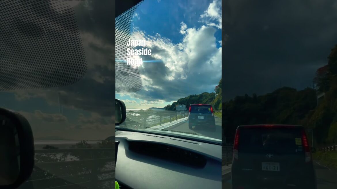 Japan seaside roads #japan #roads #shizuoka