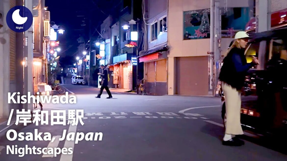 ⁴ᴷ Osaka: Kishiwada Station (大阪府: 岸和田駅) - Japan Walking Tour (December, 2024)