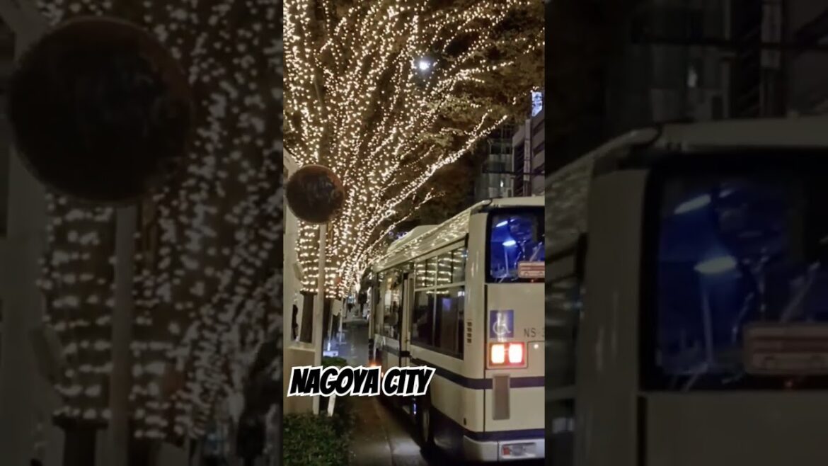 Nagoya city #love #travel