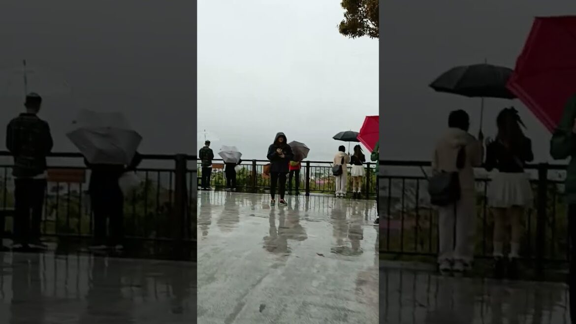 横浜、鎌倉、箱根旅2024秋1日目