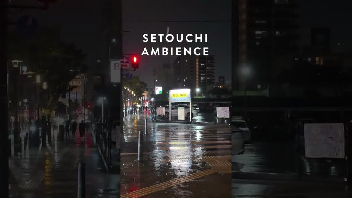 ASMR | Rainy Day Walk in Okayama, Japan | Binaural Rain and City Sounds ASMR | Rainy Day Walk in Okayama, Japan | Binaural Rain and City Sounds