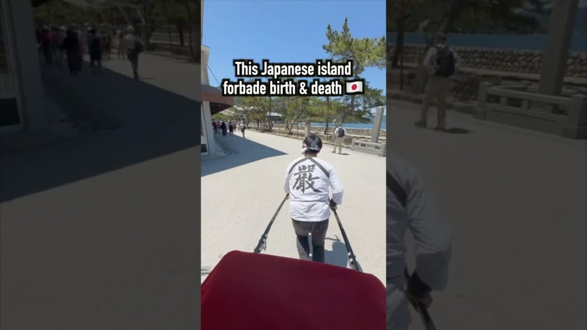 The island of Miyajima Japan 🇯🇵