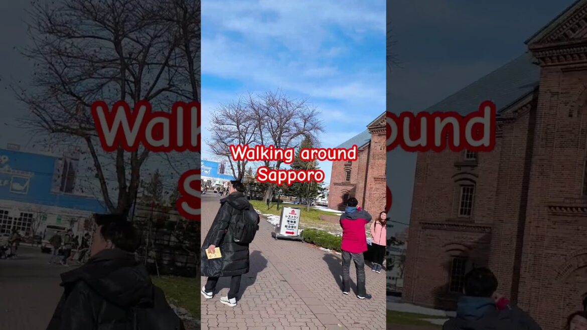 #trending #youtubeshorts #viralvideo #sapporo ##fyo