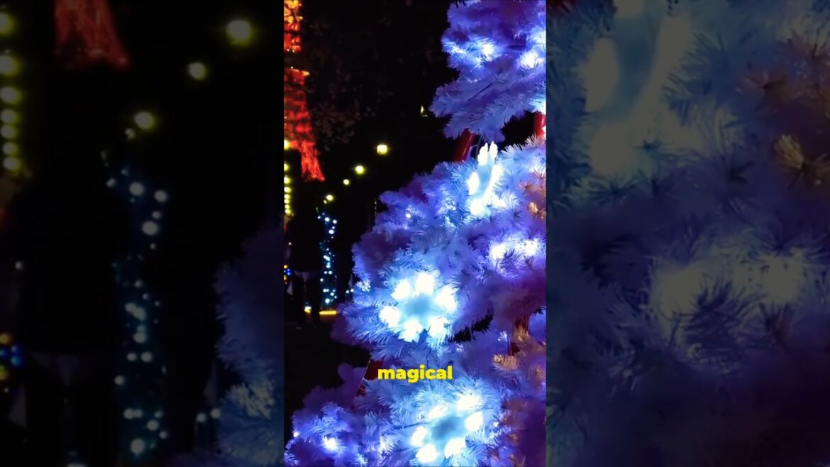 Top Asian Destinations to visit in December! #shorts #travel #explore #globetrotter #holiday Top Asian Destinations to visit in December! #shorts #travel #explore #globetrotter #holiday