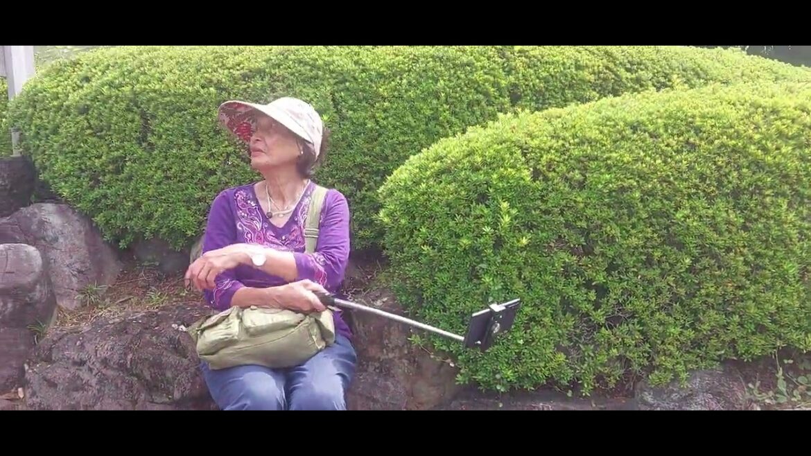 Beautiful Japanese Garden in Shimizu, Japan. Oct. 2, 2024
