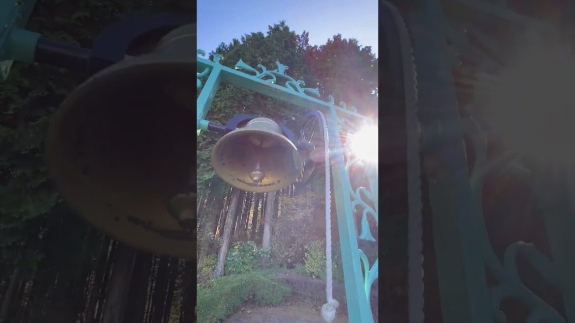 🗻Hotels with a view over Mt. Fuji: Hotel Green Plaza 🗻