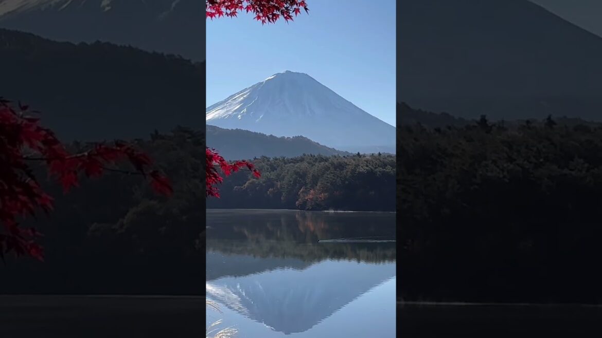 Cool Autumn At Mt. Fuji