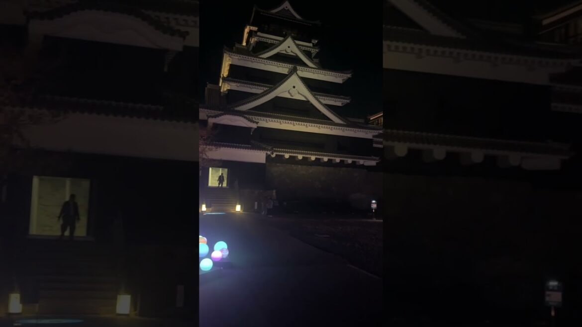 【熊本城】traditional Japanese castle熊本城ライトアップに行ってみた🏯Part8#japan #日本 #kumamoto#熊本 #お城 #ライトアップ