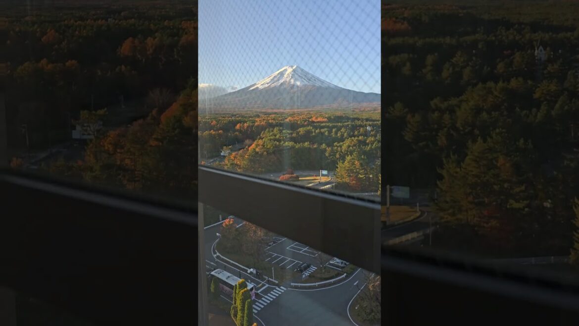 Spectacular view from elevator #mountfuji