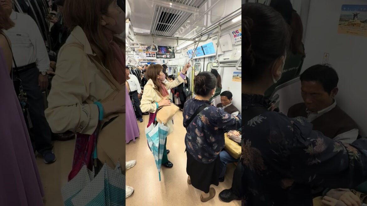 Tokyo metro ginza line #travel #japan #train