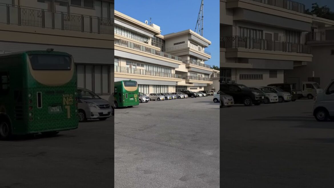 【沖縄】南城市のバス、Nバスには様々なカラーリングの車両がいる #shorts