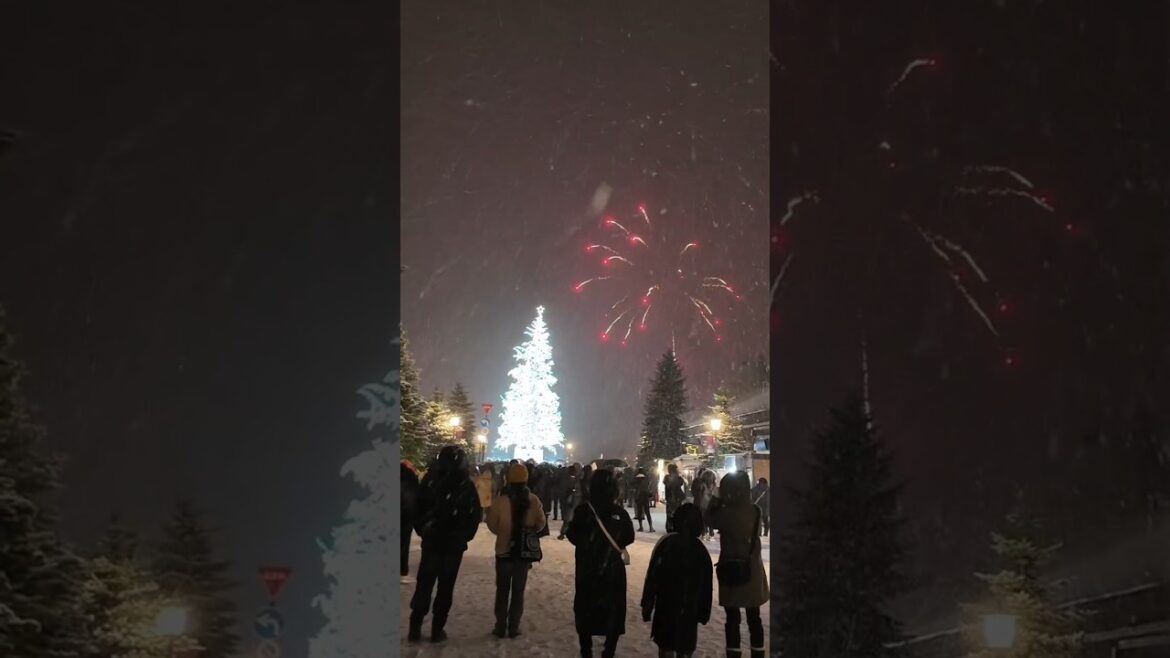 Hakodate Christmas fantasy #hakodate #japan #hokkaido #vlog#christmas