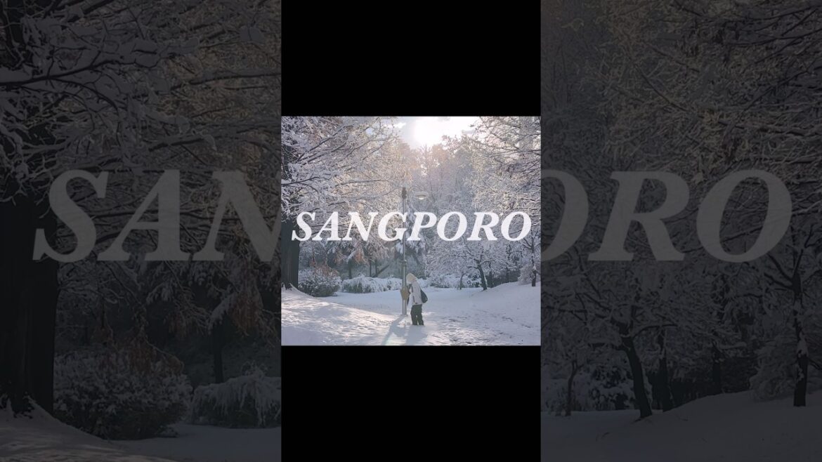 한국의 삿포로 상암동에 있는 상포로☃️❄️🤍