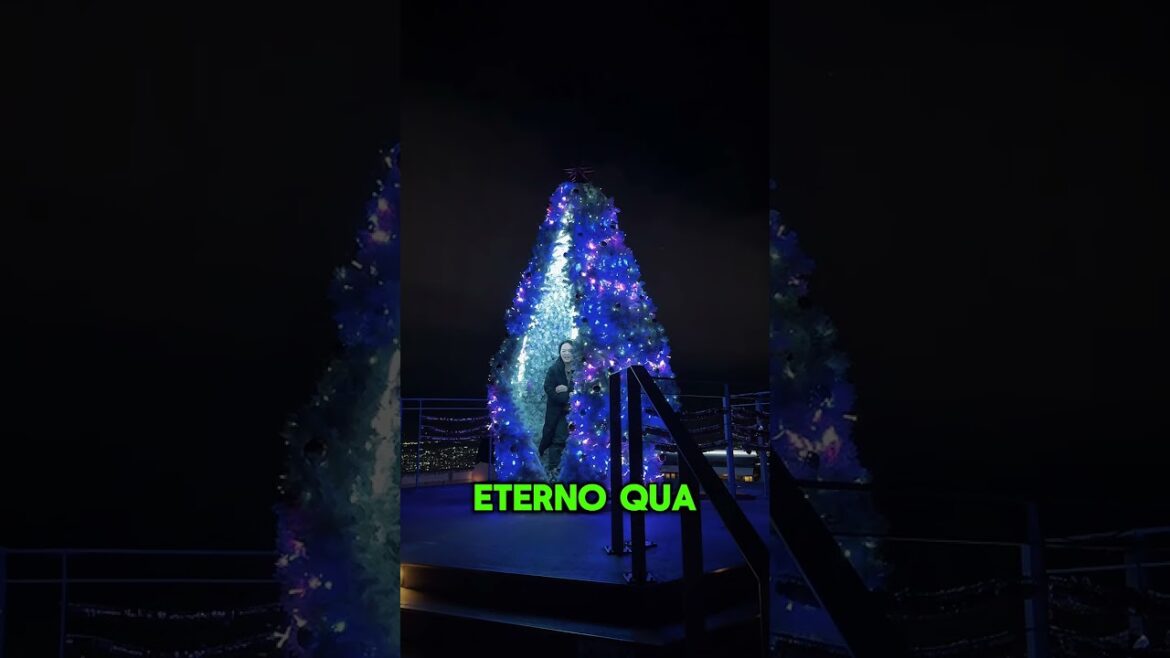 Un cielo stellato… sulla terra! 🌌✨