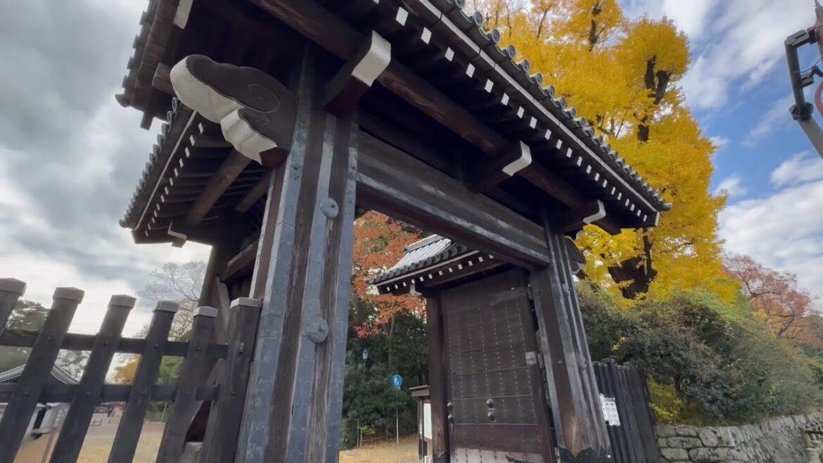 2024.12.10 京都御苑　Kyoto Imperial Garden on December 10, 2024