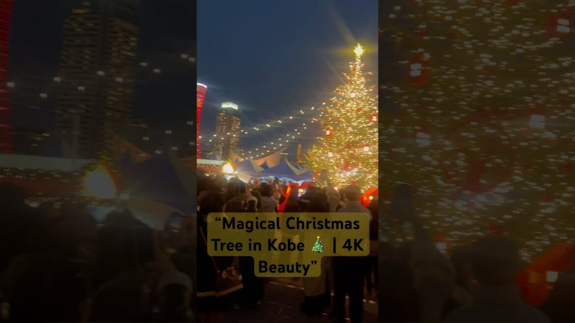 “✨ Beautiful Christmas Tree in Kobe 🎄 | #Kobe #ChristmasMagic #4KViews” #クリスマス #christmas #xmas