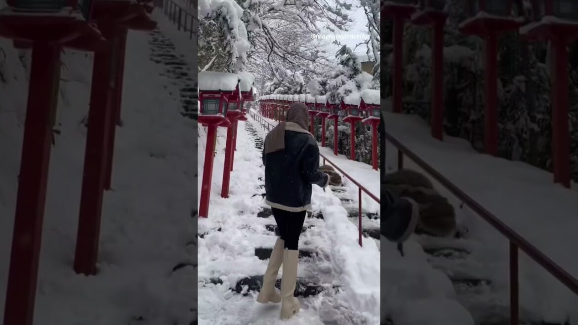 Bạn có biết Kyoto mùa đông đẹp đến nhường nào không? #kyoto #dulichnhatban