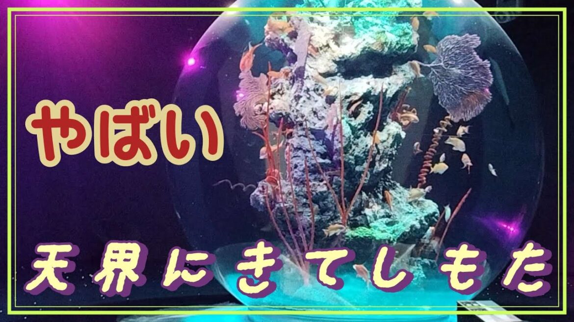 【アトア】神戸に来たら異世界転生した件。非日常感が半端ない。兵庫県神戸市メリケンパーク近くの新感覚水族館をご紹介☆ 【アトア】神戸に来たら異世界転生した件。非日常感が半端ない。兵庫県神戸市メリケンパーク近くの新感覚水族館をご紹介☆