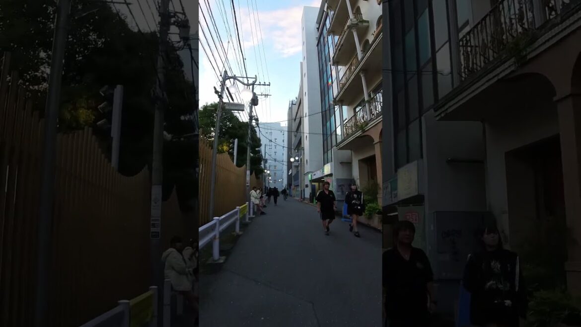 Okubo Park in the evening #shinjuku #okubopark #travel Okubo Park in the evening #shinjuku #okubopark #travel