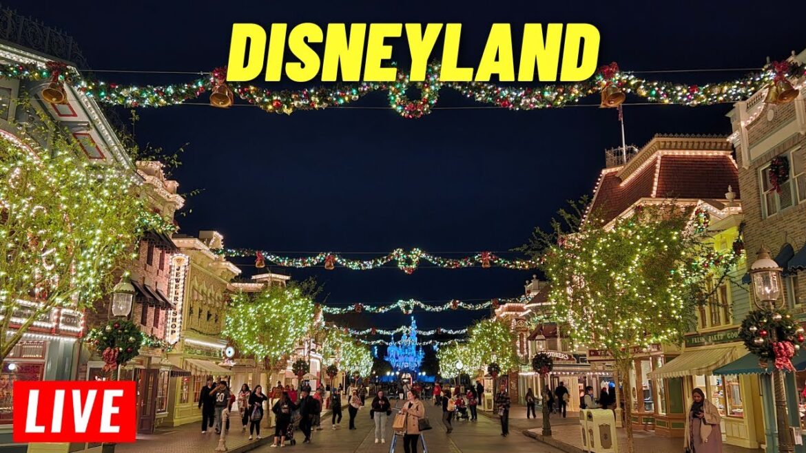 🔴 LIVE:  Disneyland Wednesday evening for Rides and fireworks, at Disneyland resort 12/11/2024