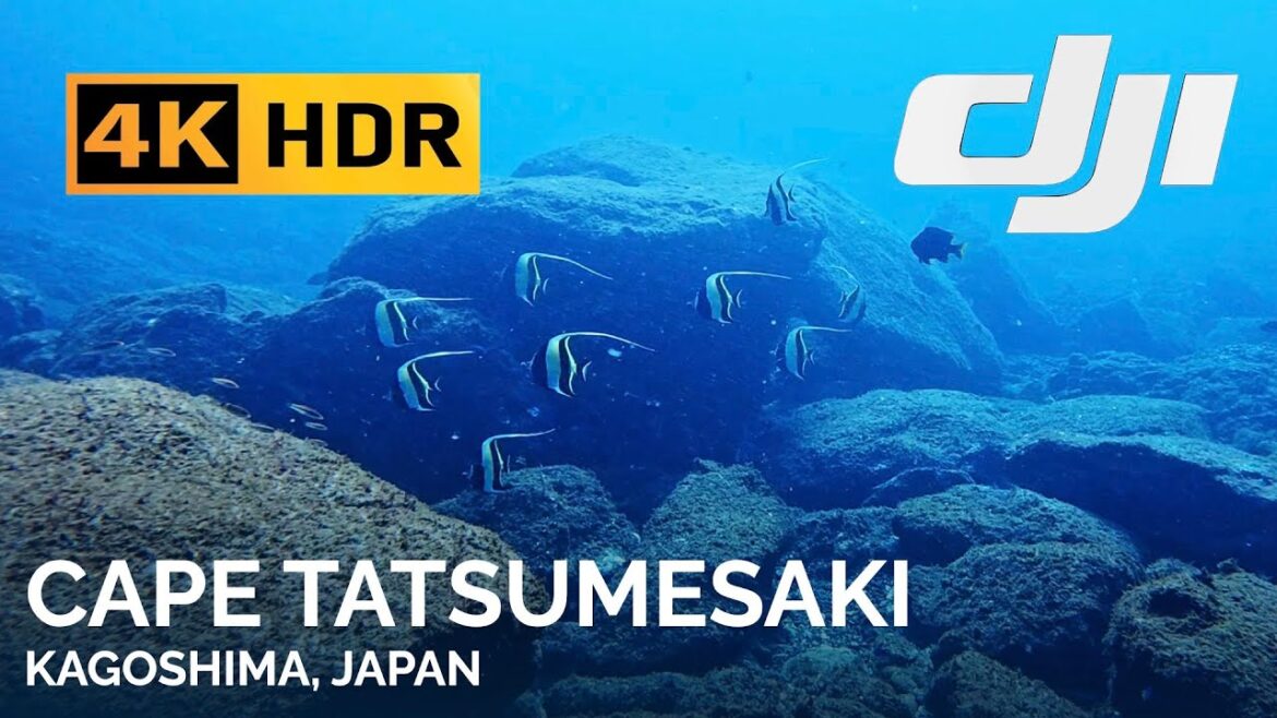 4K Rough Coast at Cape Tatsumesaki - Kagoshima, Japan