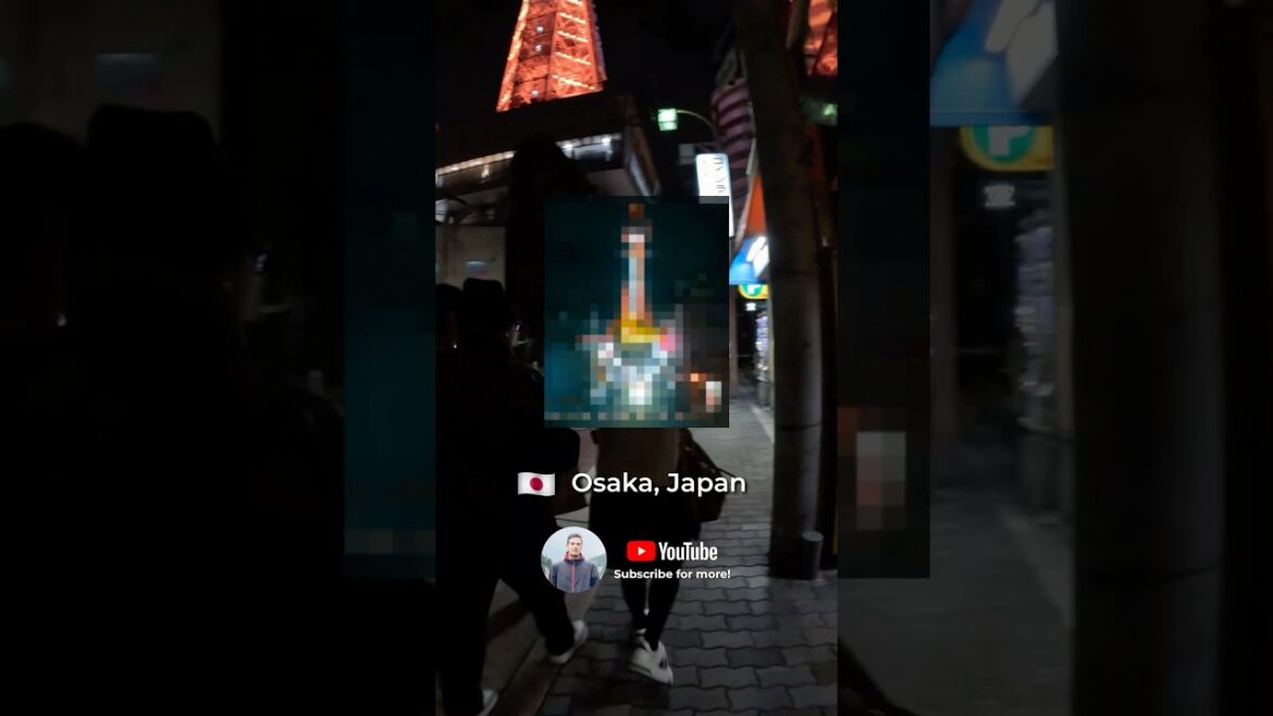 WOULD YOU TRAVEL TO JAPAN TO TAKE THIS PHOTO? #osaka #shorts