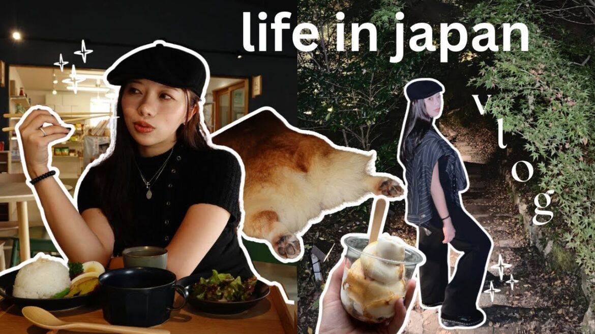 corgis, cozy Cafes, & hot pot vibes πΎππ² | NAGASAKI day trip travel vlog corgis, cozy Cafes, & hot pot vibes πΎππ² | NAGASAKI day trip travel vlog