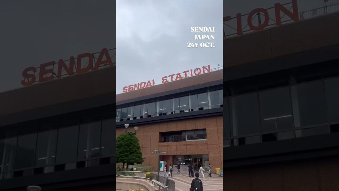 SENDAI,JAPAN 2024.OCT