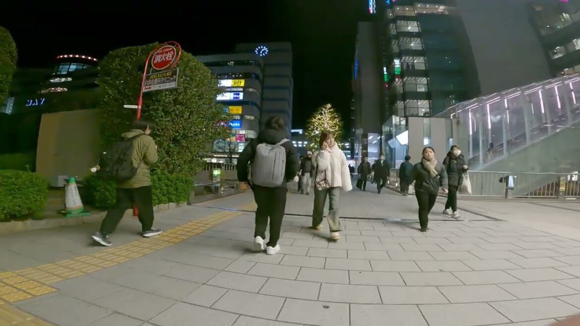 【　浜松駅周辺夜の散歩②　】2024年12月13日　Hamamatsu walking tour