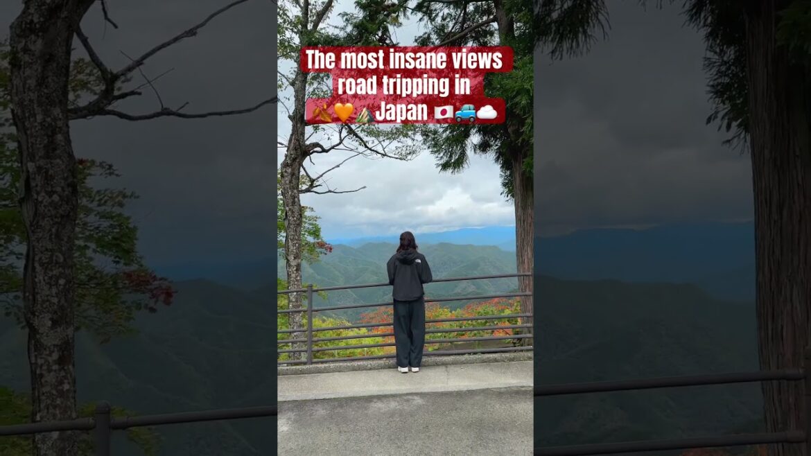 Have you been on a road trip in Japan before? #ultimateroadtrip