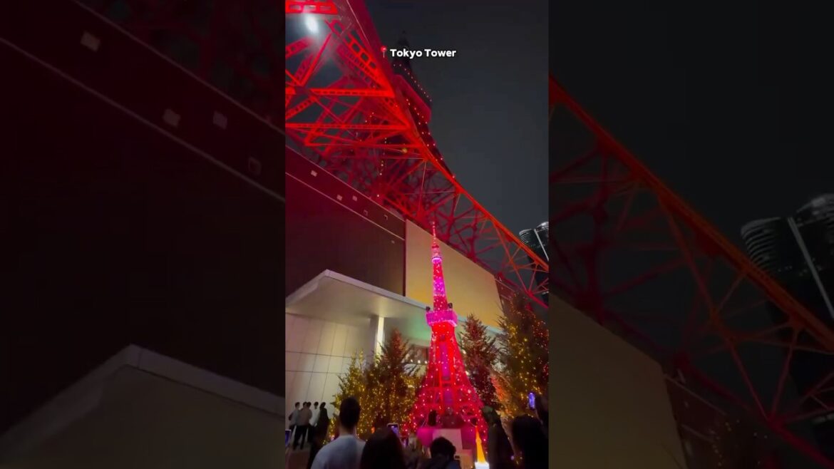 Magical Tokyo Winter Illuminations ✨❄️ | Tokyo Lights 2024