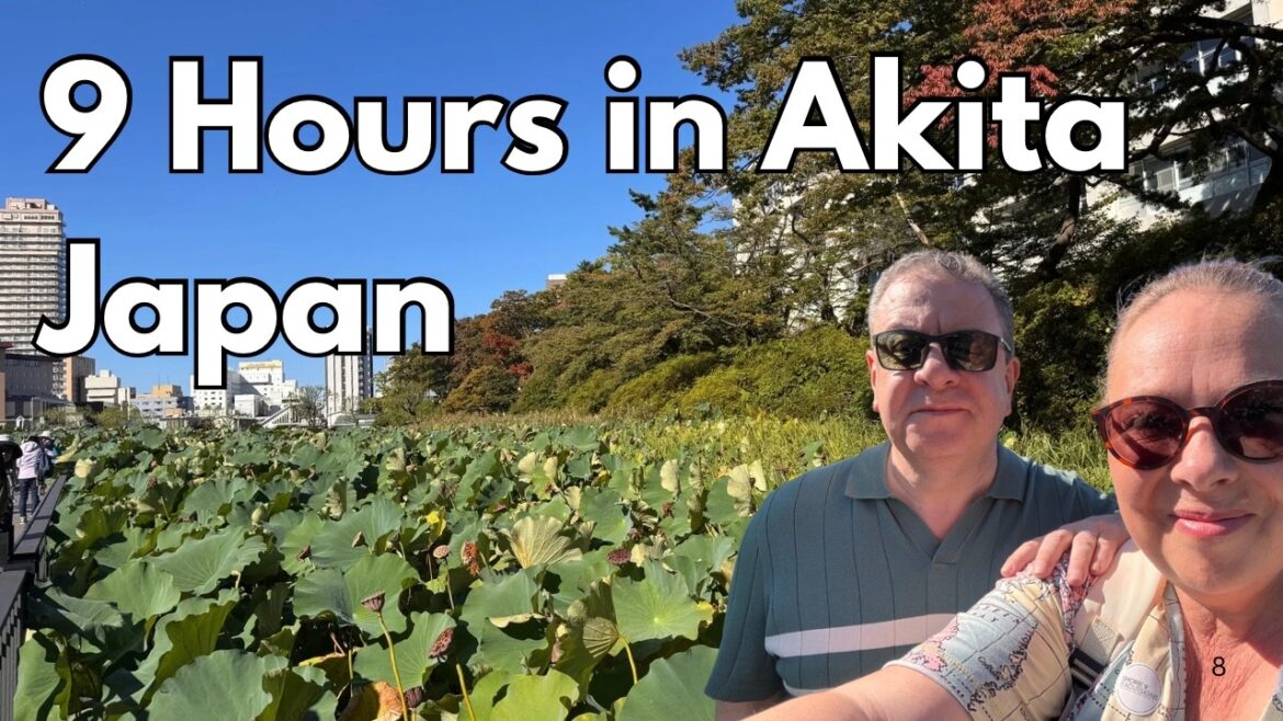 Akita - Senshu Park- Eki Stamp - Geocaching - Don Quixote - Cruising