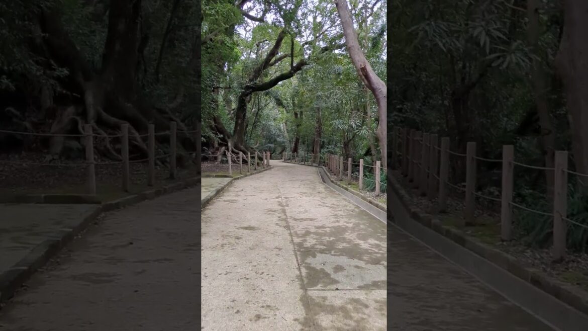 Shiroyama Park (Kagoshima)